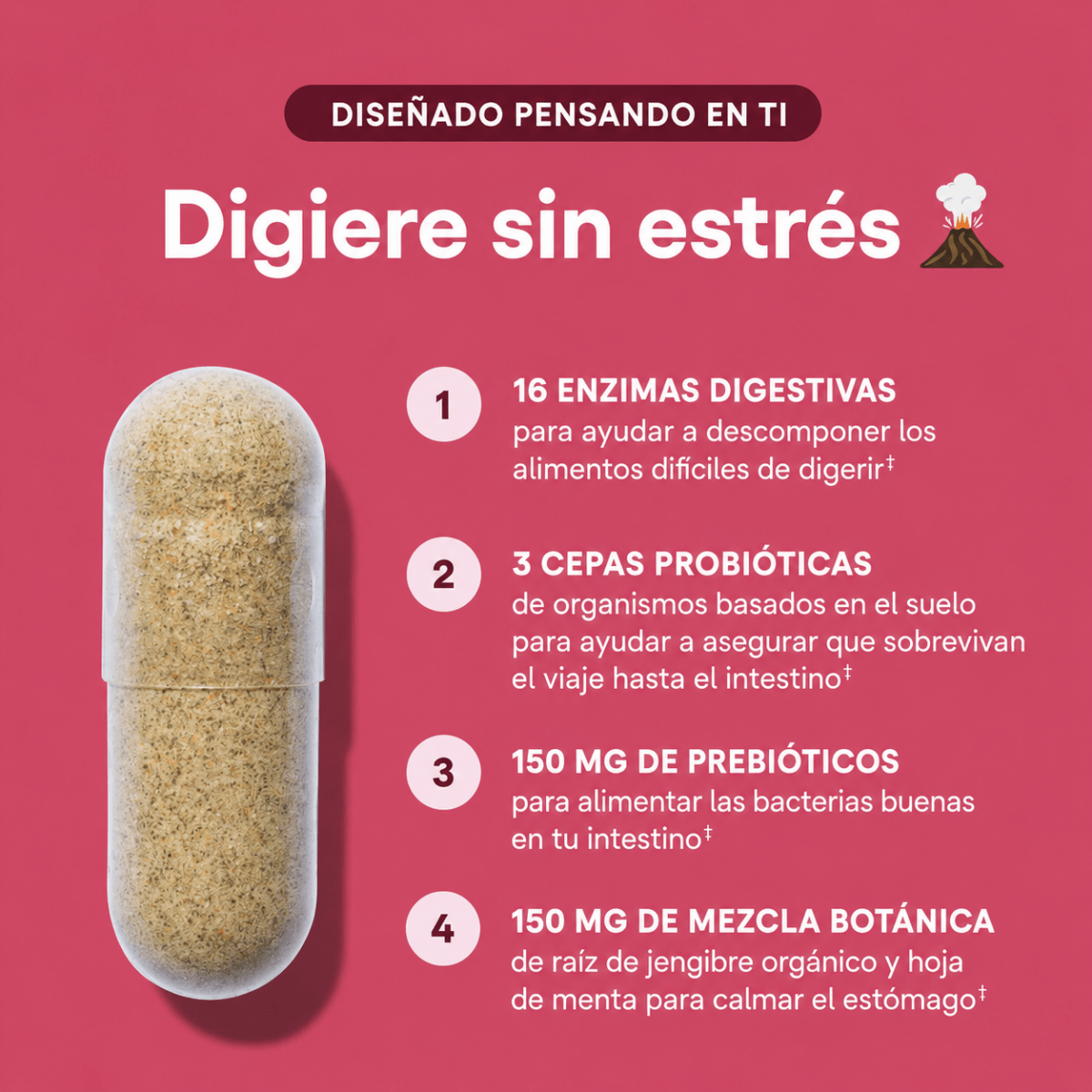 Digestive Enzymes - Mi tienda
